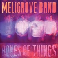 Purchase The Meligrove Band - Bones Of Things