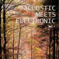 Buy VA - Acoustic Meets Electronic Vol. 1: Best Mix Of Acoustic And Electronic Chill Out And Chill House Tracks Mp3 Download