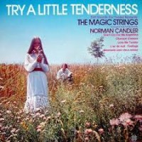 Purchase Norman Candler - Try A Little Tenderness (Vinyl)