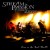Purchase Stream of Passion- Live In The Real World CD2 MP3