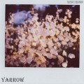 Buy Yarrow - Yarrow Mp3 Download