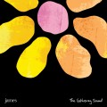 Buy James - The Gathering Sound CD1 Mp3 Download