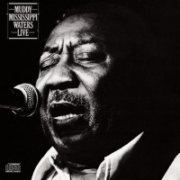 Purchase Muddy Waters - Mississippi Live (Remastered 2003) CD1