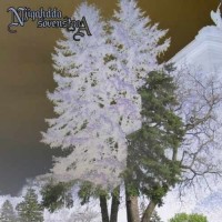 Purchase Njiqahdda - Sovenstraa (EP)