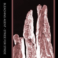 Purchase Bleaching Agent - Stride By Stride