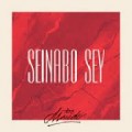 Buy Seinabo Sey - For Maudo (EP) Mp3 Download