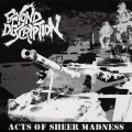 Buy Beyond Description - Acts Of Sheer Madness Mp3 Download