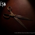 Buy Esa - No One Will Ever Touch You/ False In Tongue (EP) Mp3 Download