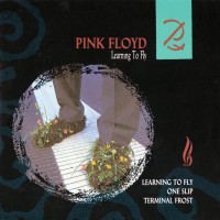 Purchase Pink Floyd - Learning To Fly (CDS)