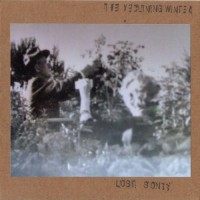 Purchase The Declining Winter - Lost Songs