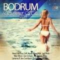 Buy VA - Bodrum Summer Hits 2014 Mp3 Download