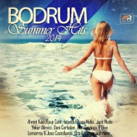 Purchase VA - Bodrum Summer Hits 2014