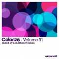 Buy VA - Colorize Vol. 01 (Mixed By Sebastian Weikum Extended Mixes) Mp3 Download