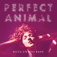 Purchase Becca Stevens Band - Perfect Animal