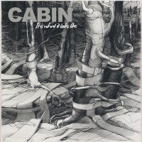 Purchase Cabin - It Is What It Looks Like (EP)