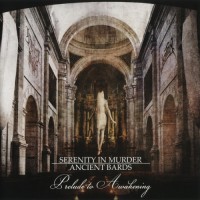 Purchase Serenity In Murder - Prelude To Awakening (CDS)