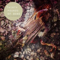 Purchase Thirty Pounds Of Bone - The Taxidermist
