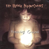 Purchase Kevin Prosch - Tumbling Ground (With The Black Peppercoins)