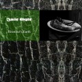 Buy Jute Gyte - Ritenour's Earth Mp3 Download