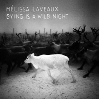 Purchase Melissa Laveaux - Dying Is A Wild Night
