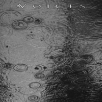 Purchase Voices - From The Human Forest Create A Fuge Of Imaginary Rain