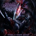 Buy Orgiastic Rebirth - Corridors Of Repugnant Suffering Mp3 Download