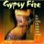Buy Omar Faruk Tekbilek - Gypsy Fire (With Richard A. Hagopian) Mp3 Download