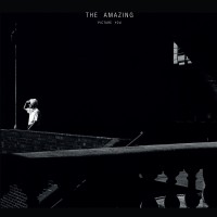 Purchase The Amazing - Picture You
