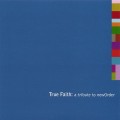 Buy VA - True Faith: A Tribute To New Order Mp3 Download