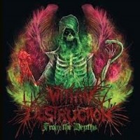 Purchase Within Destruction - From The Depths