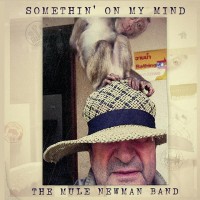 Purchase The Mule Newman Band - Somethin' On My Mind