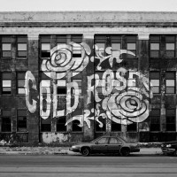 Purchase Cold Roses - No Silence In The City