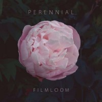 Purchase Filmloom - Perennial