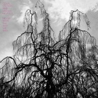 Purchase Colin Stetson & Sarah Neufeld - Never Were The Way She Was