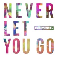 Purchase Rudimental - Never Let You Go (CDS)