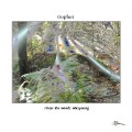 Buy Oophoi - I Hear The Woods Whispering Mp3 Download