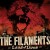 Buy The Filaments - Land Of Lions Mp3 Download