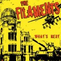 Buy The Filaments - What's Next Mp3 Download