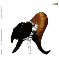 Purchase Coil - Black Antlers CD1