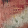 Buy Agusti Fernandez & Barry Guy - Some Other Place Mp3 Download