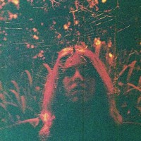 Purchase Turnover - Peripheral Vision