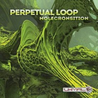 Purchase Perpetual Loop - Molecronsition