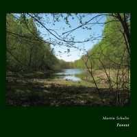 Purchase Martin Schulte - Forest