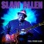 Purchase Slam Allen- Feel These Blues MP3