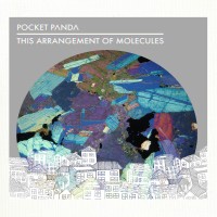 Purchase Pocket Panda - This Arrangement Of Molecules