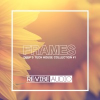 Purchase VA - Frames Issue: Deep And Tech House Collection