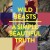 Buy Wild Beasts - A Simple Beautiful Truth (EP) Mp3 Download