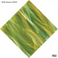 Buy Wild Beasts - Stray (CDS) Mp3 Download