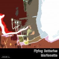 Purchase Flying Batteries - Marionette