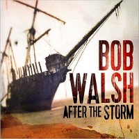 Purchase Bob Walsh - After The Storm